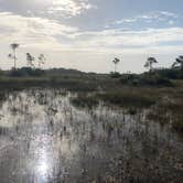 Review photo of Flamingo Campground — Everglades National Park by Matthew N., April 13, 2022