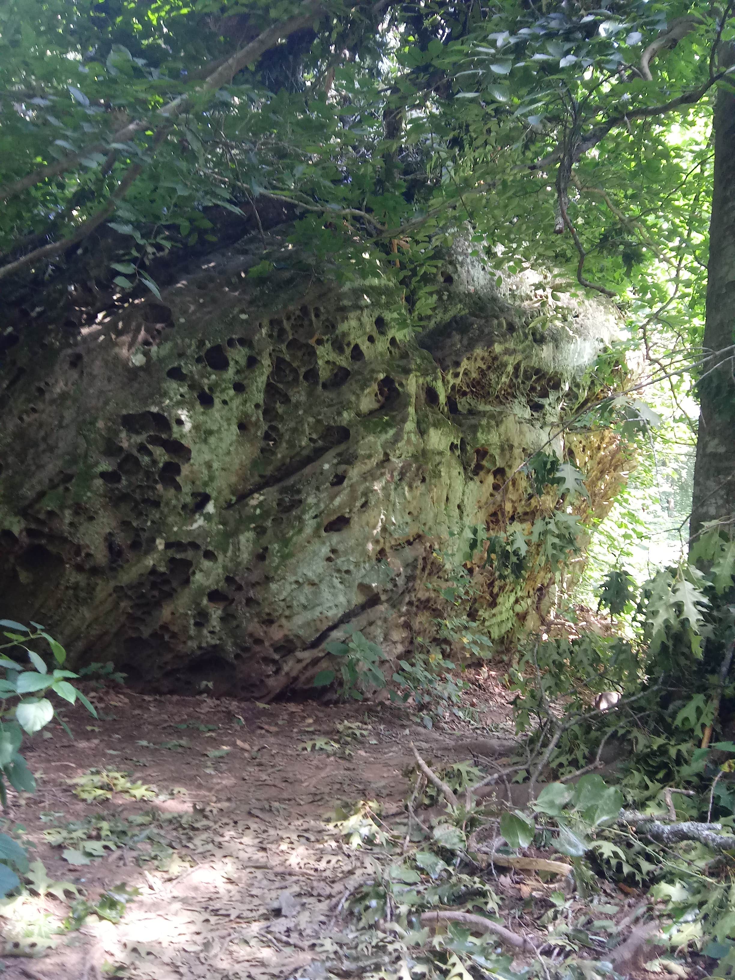 Camper-submitted photo at Redbud Campground at Bell Smith Springs in Illinois