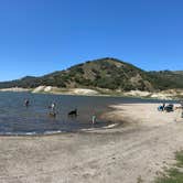 Review photo of Lopez Lake Recreation Area by Frank P., April 14, 2022