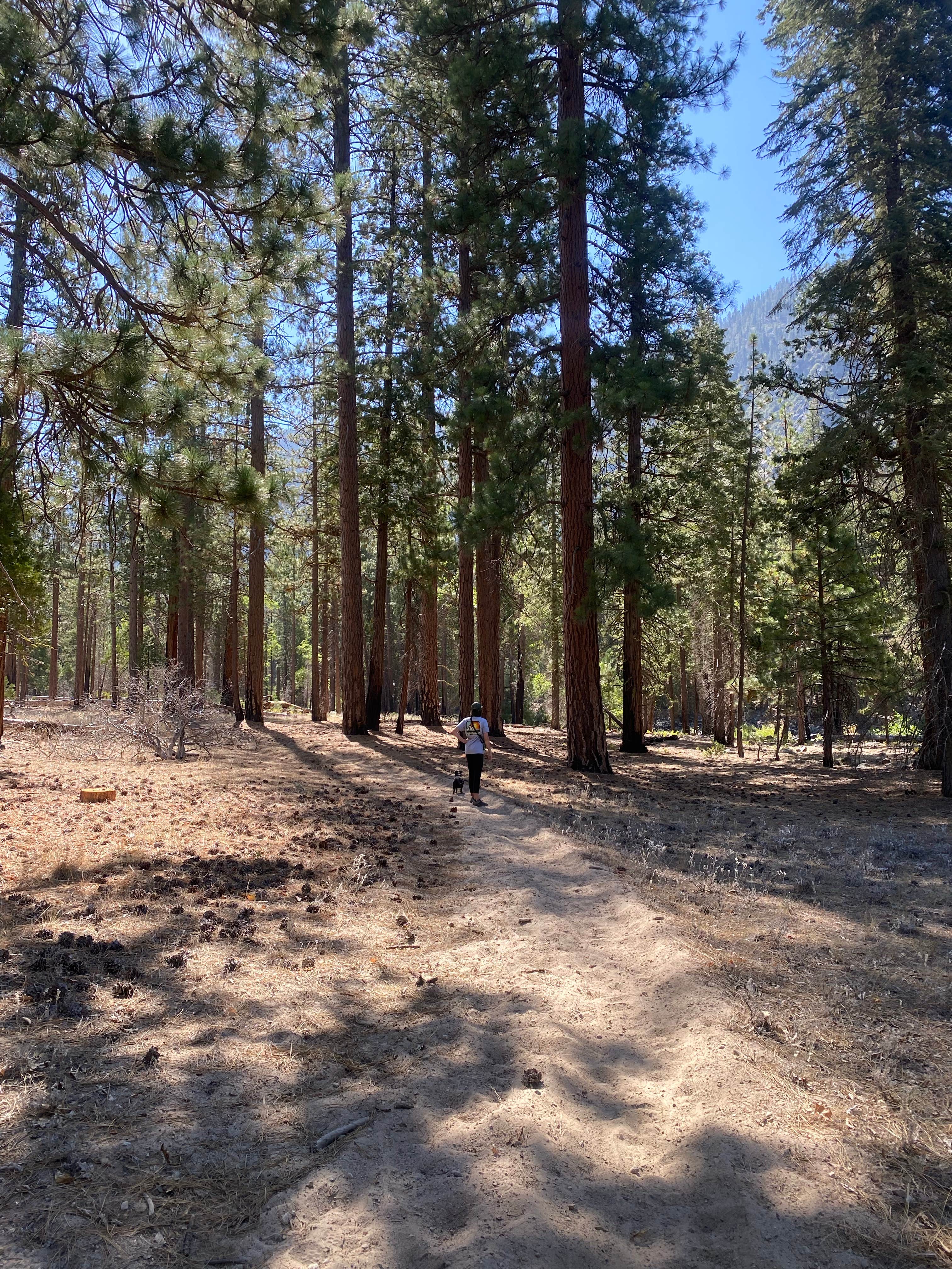 Woodlake photo 2