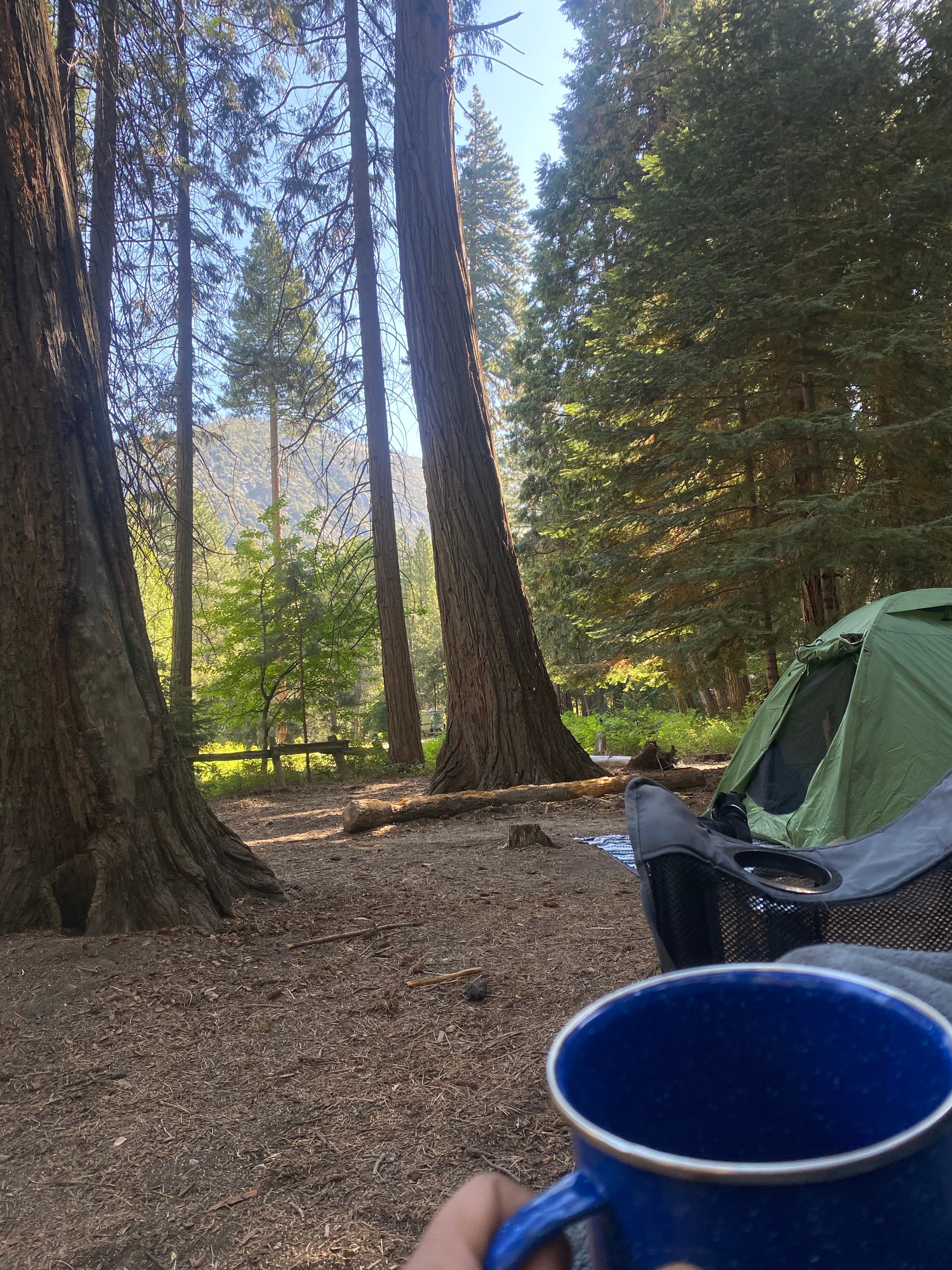 Camper submitted image from Sentinel Campground — Kings Canyon National Park - 1