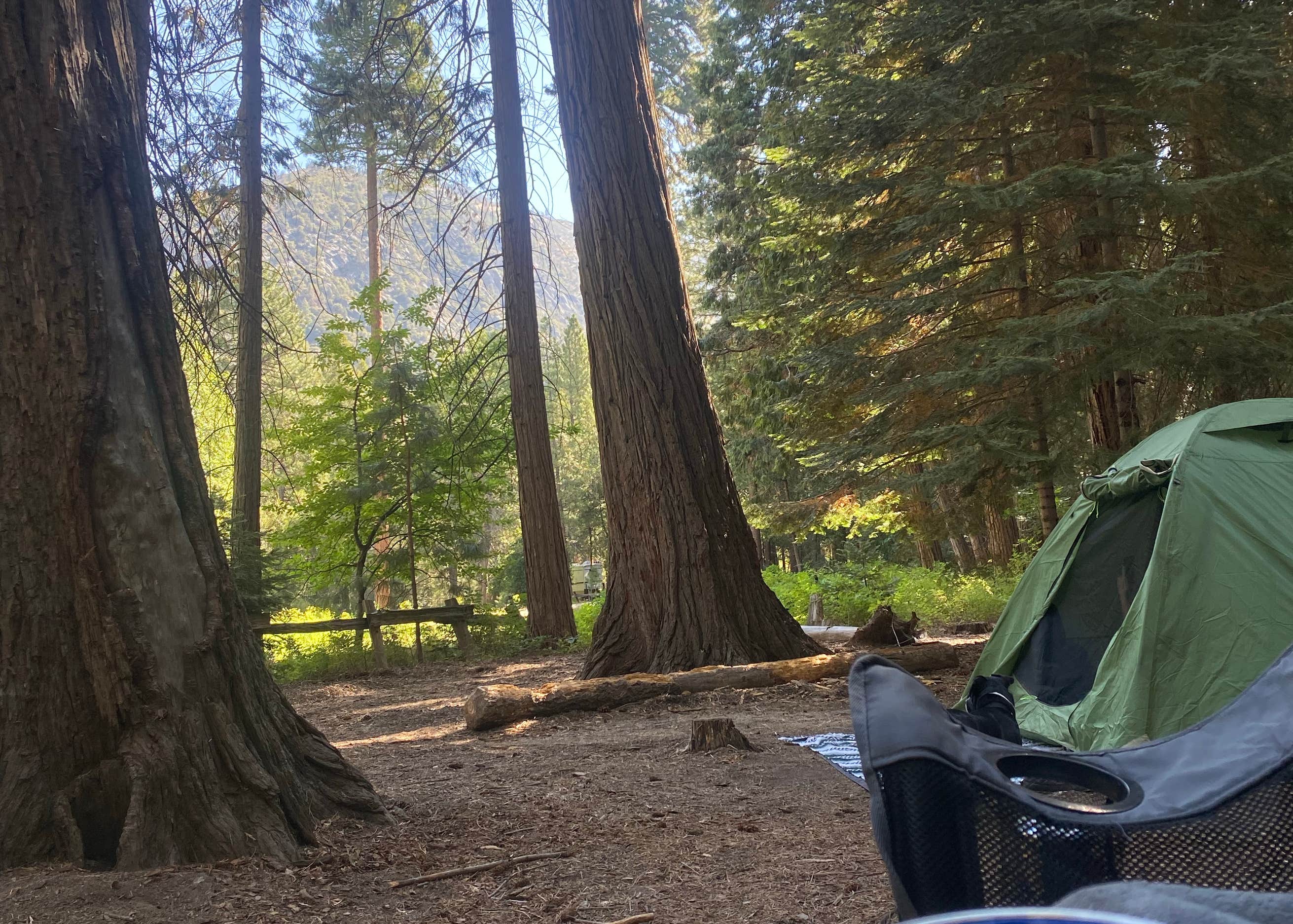 Sentinel Campground Kings Canyon National Park Camping The Dyrt