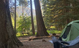 Loomy A.'s photo at Sentinel Campground — Kings Canyon National Park near Sequoia & Kings Canyon National Parks