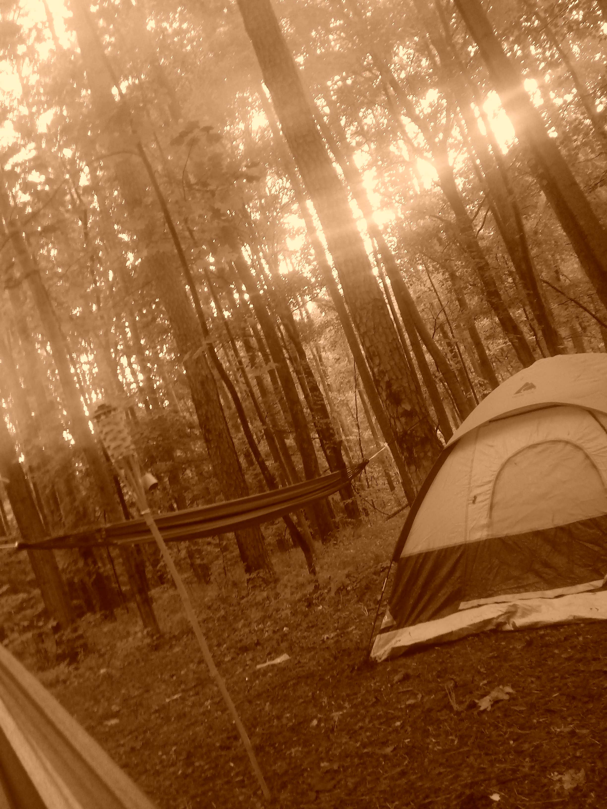 Camper-submitted photo at Pine Ridge near Karbers Ridge, IL