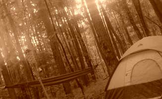 Jamie B.'s photo at Pine Ridge near Junction, IL