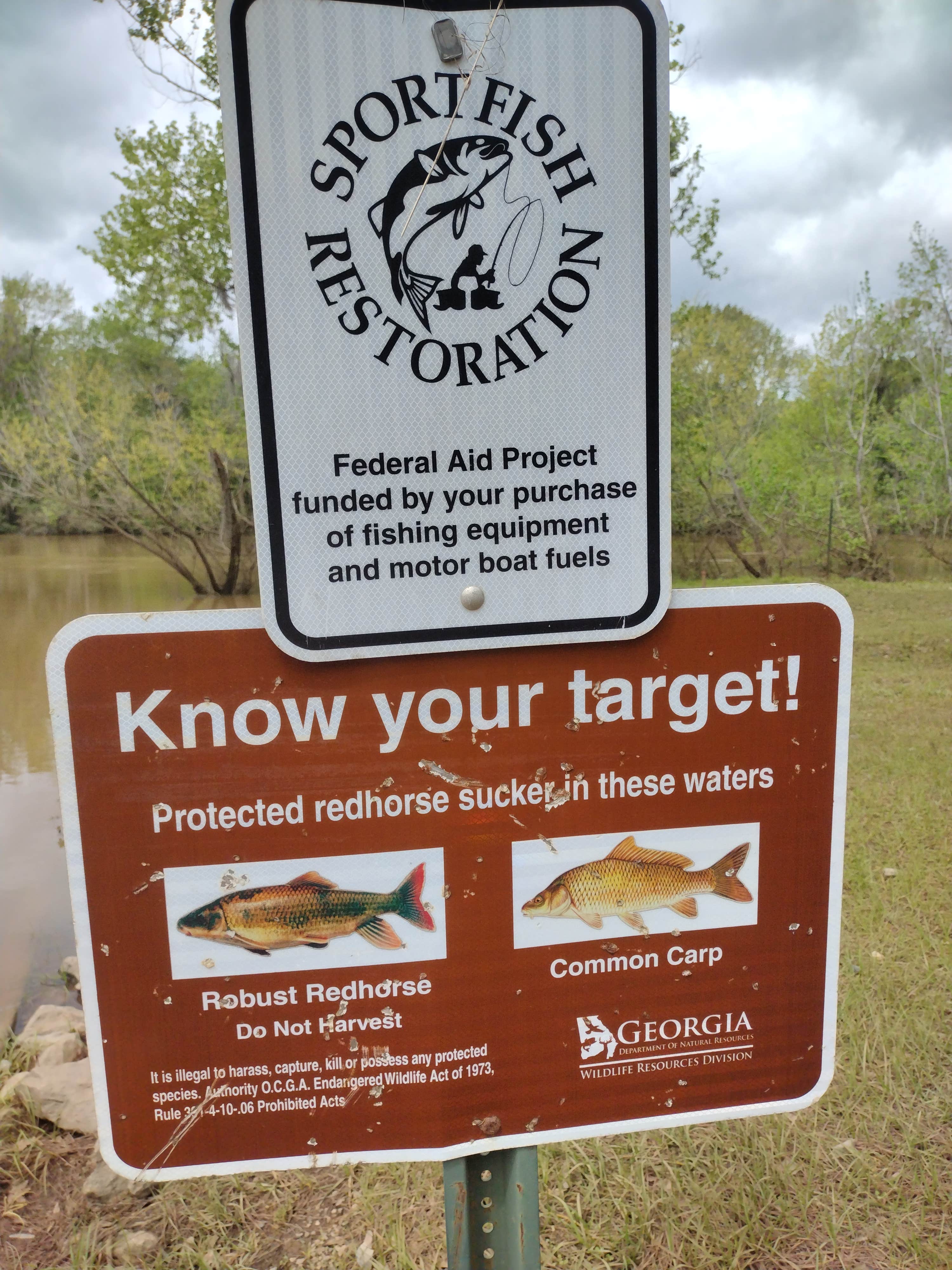 Camper-submitted photo at James Dykes Memorial Park Campsite near Warner Robins, GA