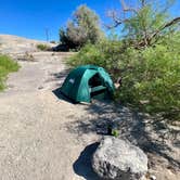 Review photo of Texas Springs Campground — Death Valley National Park by Corey B., April 14, 2022