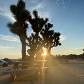 Review photo of Black Rock Campground — Joshua Tree National Park by Corey B., April 14, 2022