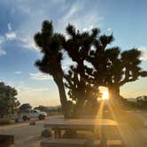 Review photo of Black Rock Campground — Joshua Tree National Park by Corey B., April 14, 2022