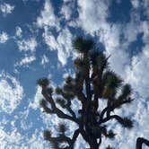 Review photo of Black Rock Campground — Joshua Tree National Park by Corey B., April 14, 2022