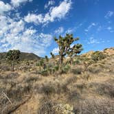 Review photo of Black Rock Campground — Joshua Tree National Park by Corey B., April 14, 2022