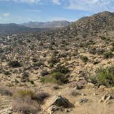 Review photo of Black Rock Campground — Joshua Tree National Park by Corey B., April 14, 2022