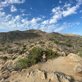 Review photo of Black Rock Campground — Joshua Tree National Park by Corey B., April 14, 2022