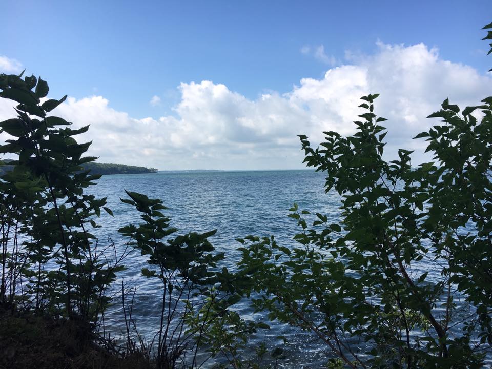 Camper submitted image from South Bass Island State Park - 2