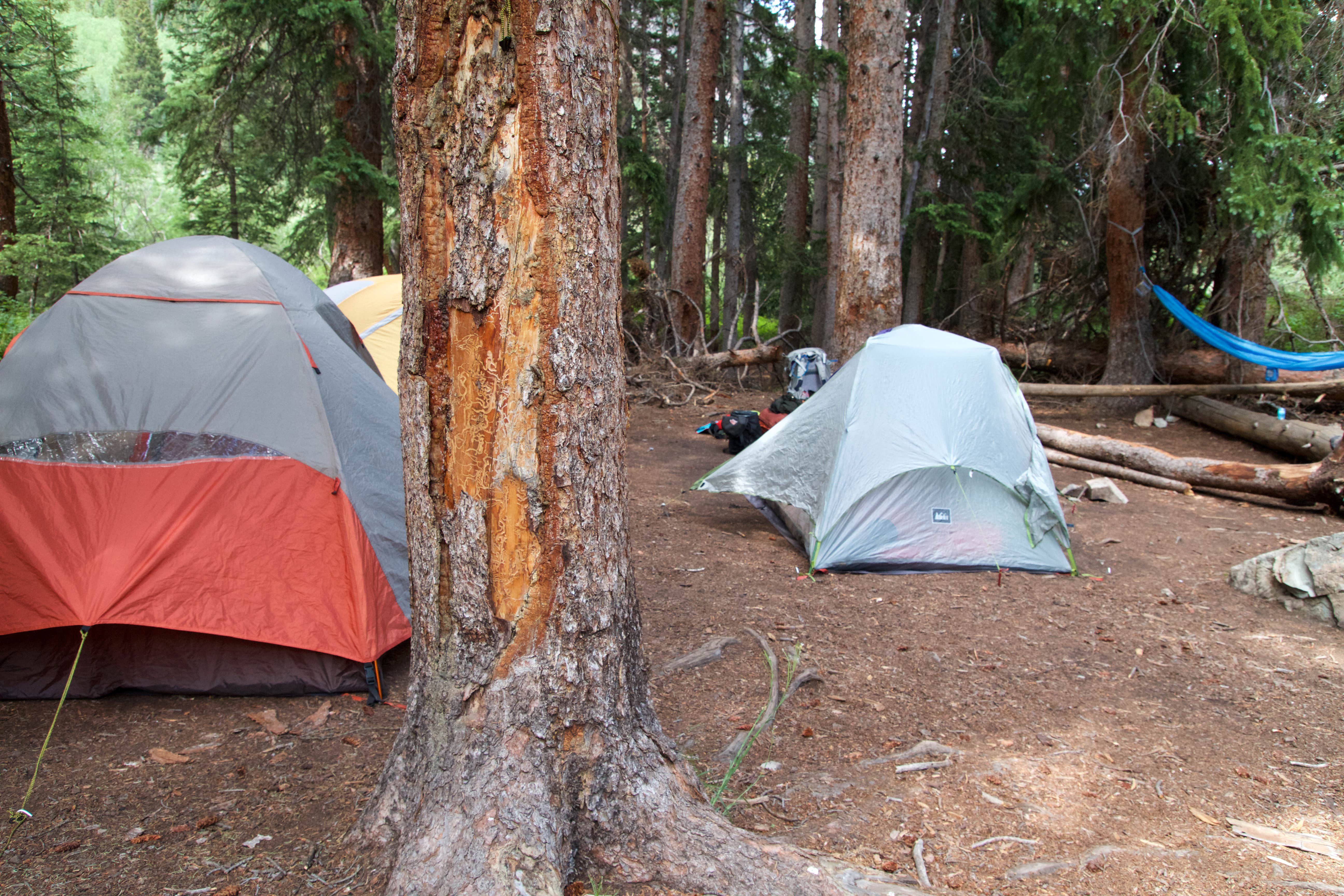 Camper-submitted photo at Four Pass Loop - West Maroon to Buckskin near Snowmass Village, CO