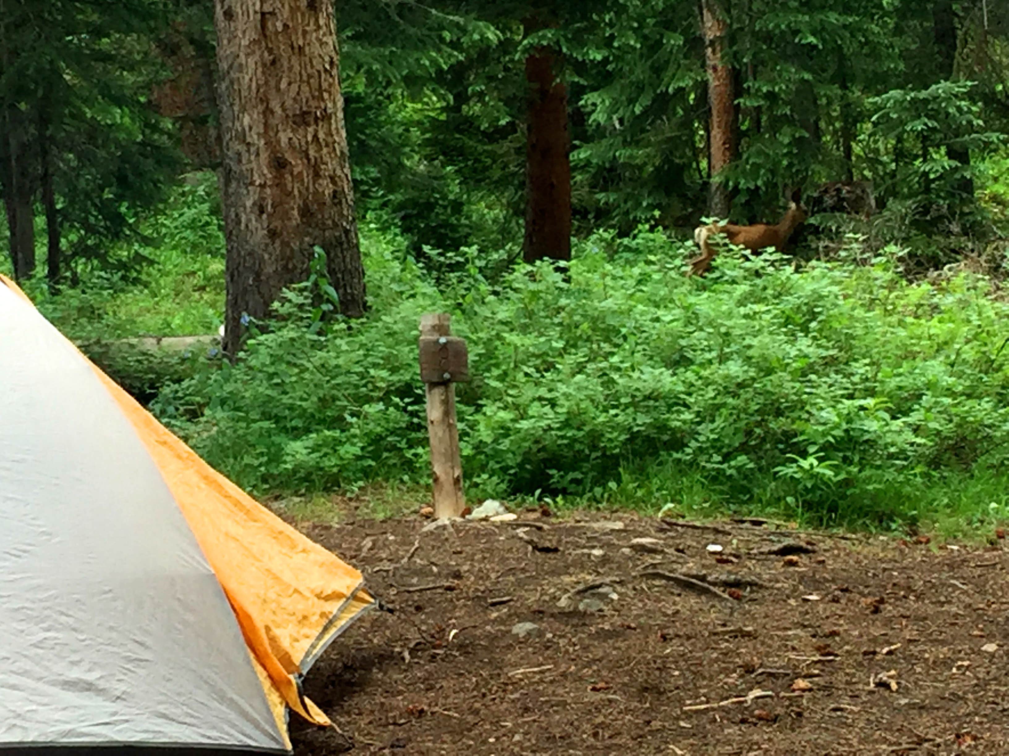 Camper-submitted photo at Four Pass Loop - West Maroon to Buckskin near Snowmass Village, CO