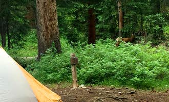 Camping near Silver Bar: Four Pass Loop - West Maroon to Buckskin, Snowmass Village, Colorado