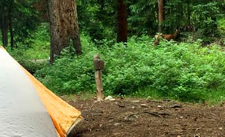 Corey B.'s photo of tent camping at Four Pass Loop - West Maroon to Buckskin near Marble, CO