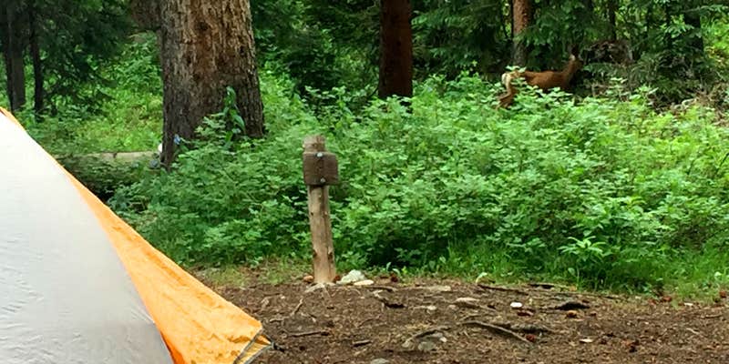 Camper submitted image from Four Pass Loop - West Maroon to Buckskin