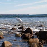 Review photo of Canyon Campground — Leo Carrillo State Park Campground by Corey B., April 14, 2022