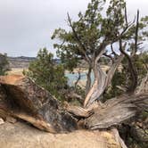 Review photo of Lake View Campground — Escalante State Park by Lee D., April 14, 2022