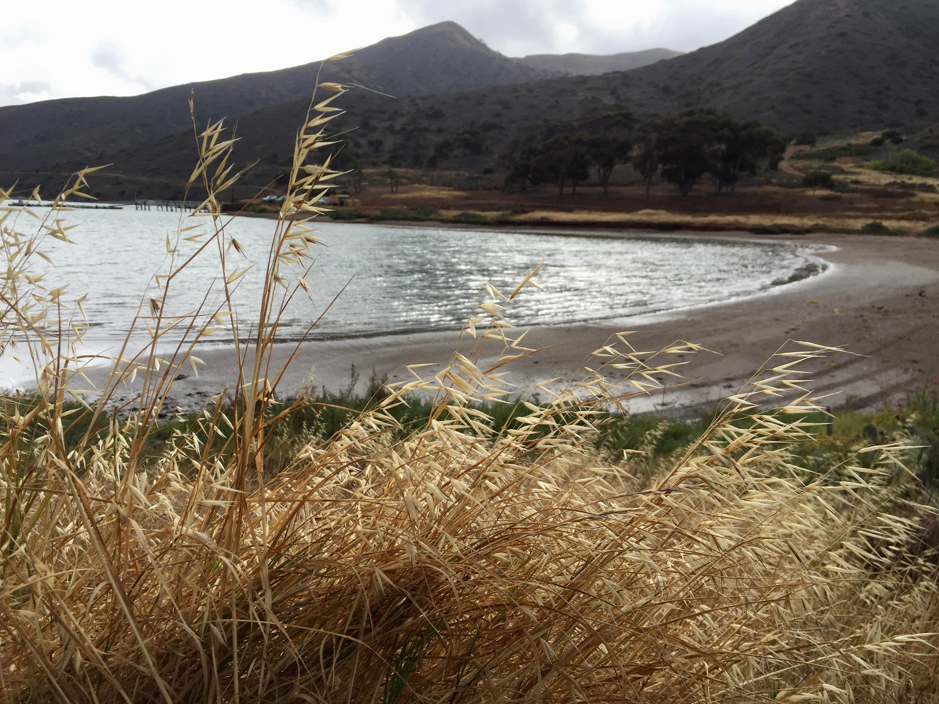 Camper-submitted photo at Two Harbors Campground near Lomita, CA