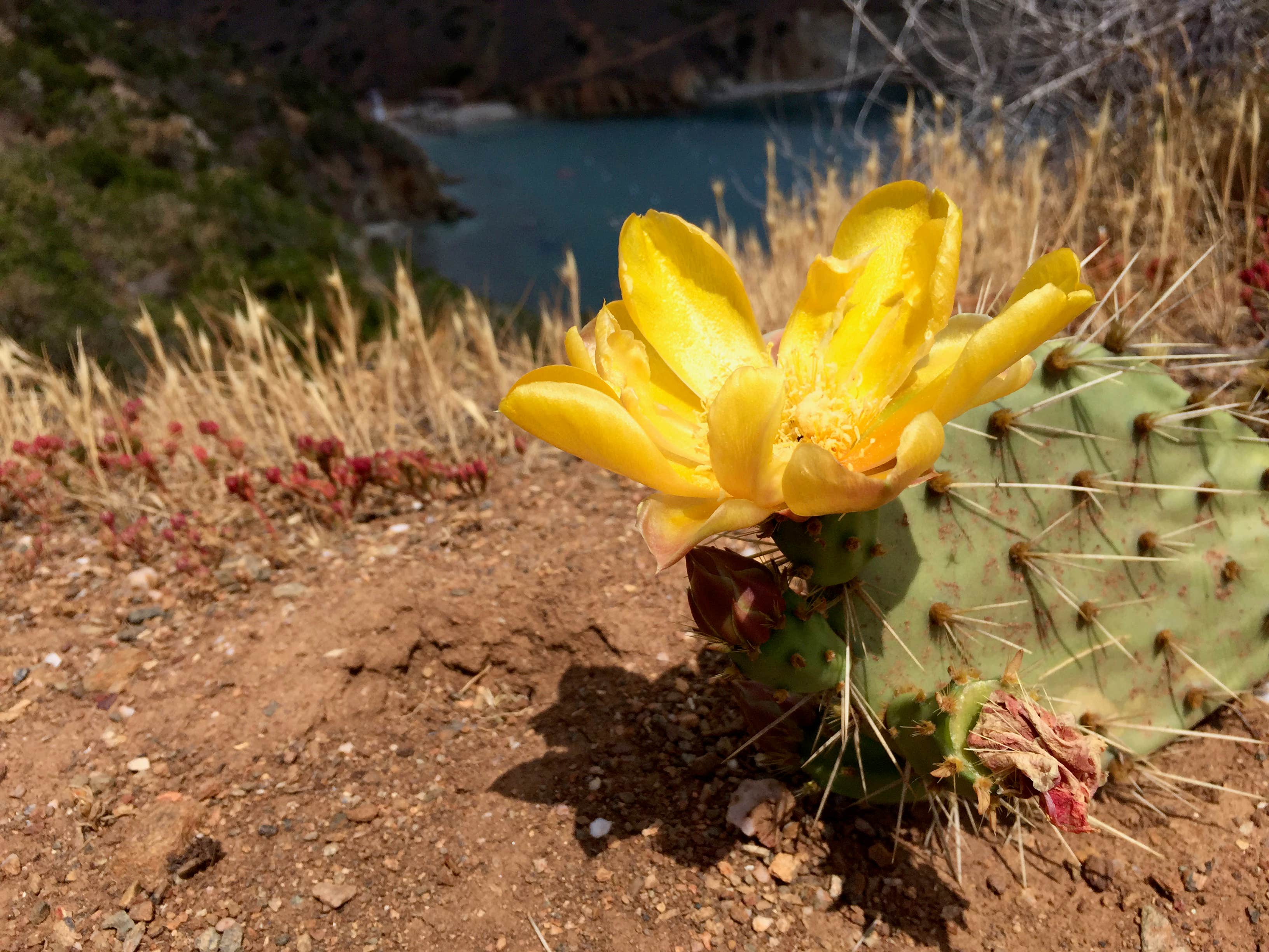 Camper-submitted photo at Two Harbors Campground near Sunset Beach, CA