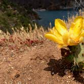 Review photo of Two Harbors Campground by Corey B., April 14, 2022