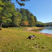 Review photo of Georgia Mountain Fair Campground by Sam S., April 14, 2022