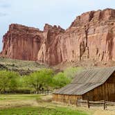 Review photo of Fruita Campground — Capitol Reef National Park by Lee D., April 14, 2022