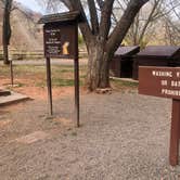 Review photo of Fruita Campground — Capitol Reef National Park by Lee D., April 14, 2022