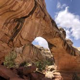 Review photo of Fruita Campground — Capitol Reef National Park by Lee D., April 14, 2022