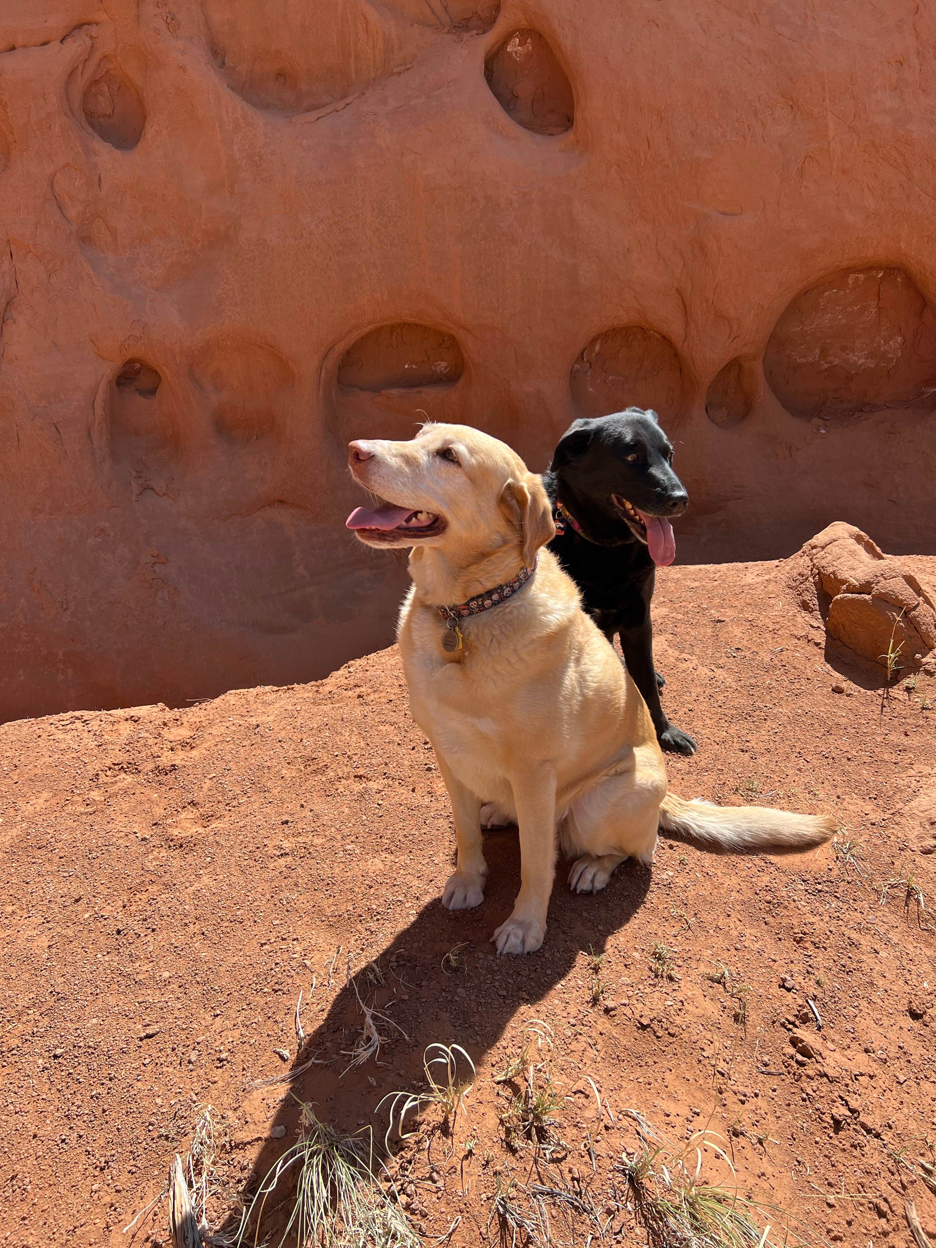 Betzy G.'s photo of camping with pets at Basin Campground — Kodachrome Basin State Park near Bryce Canyon National Park