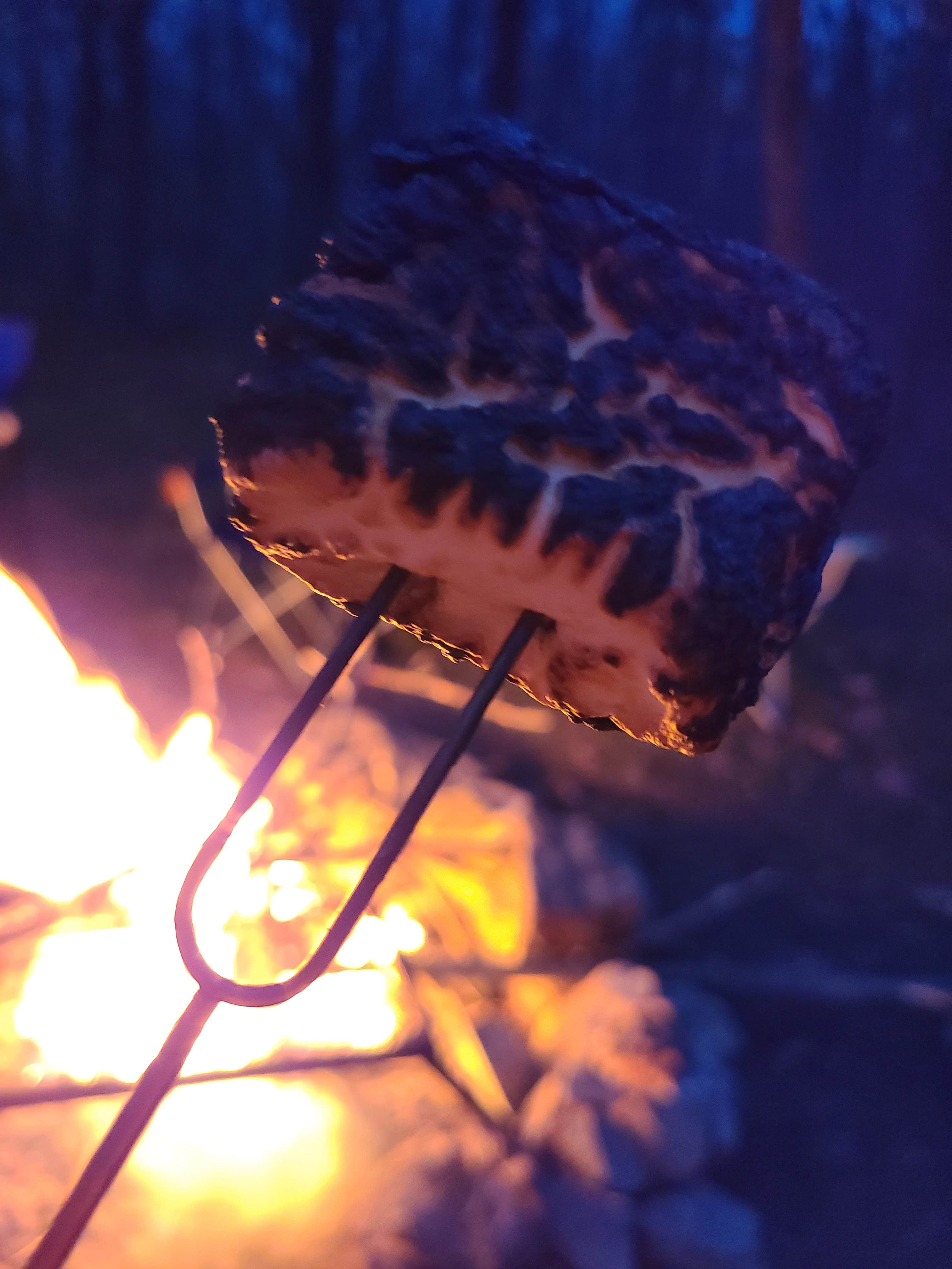 Camper-submitted photo at The Cove Campground near Winchester, VA