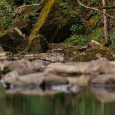 Review photo of Haw Creek Falls Camping by Brandon C., April 15, 2022