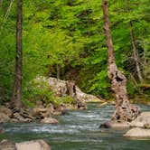 Review photo of Haw Creek Falls Camping by Brandon C., April 15, 2022