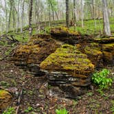 Review photo of Haw Creek Falls Camping by Brandon C., April 15, 2022