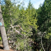 Review photo of Branch Brook Campground by Benjamin A., April 15, 2022