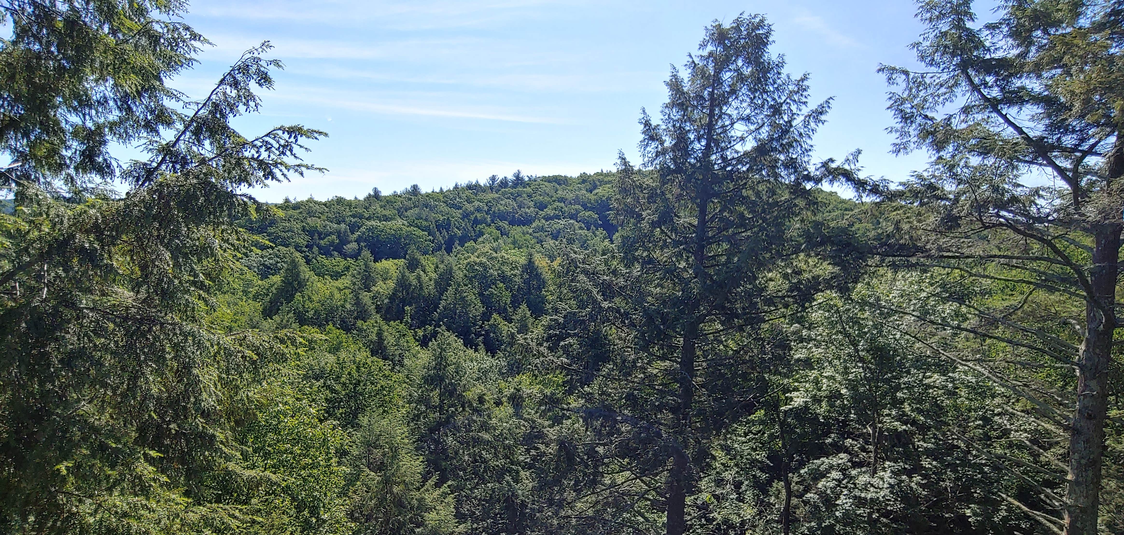 Camper-submitted photo at Branch Brook Campground near Ansonia, CT