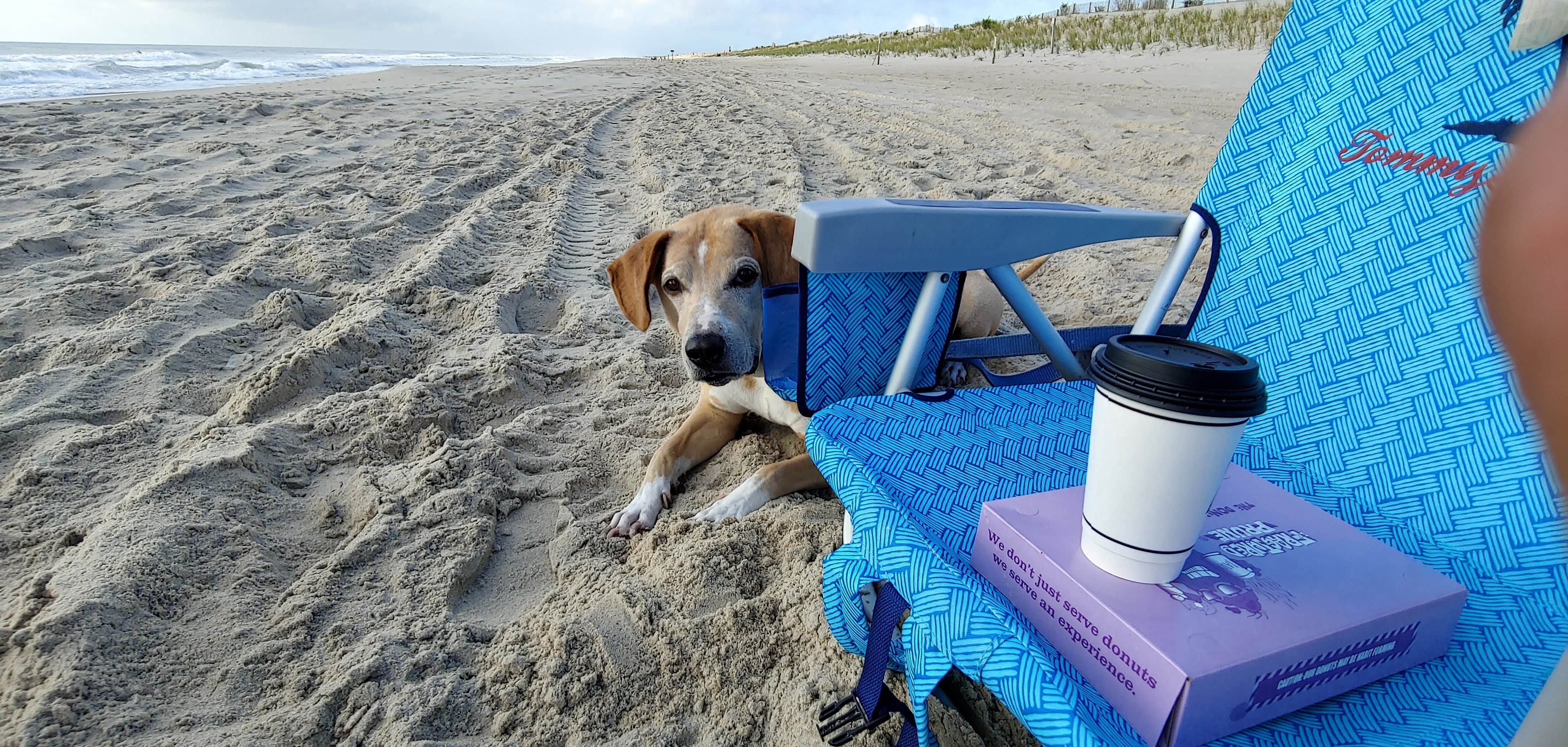 Benjamin A.'s photo of camping with pets at Sun Outdoors Frontier Town near Ocean Pines, MD