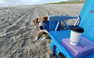 Benjamin A.'s photo of camping with pets at Sun Outdoors Frontier Town near Salisbury, MD