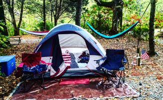 Molly M.'s photo at Lookout Mountain-Chattanooga West KOA in Georgia