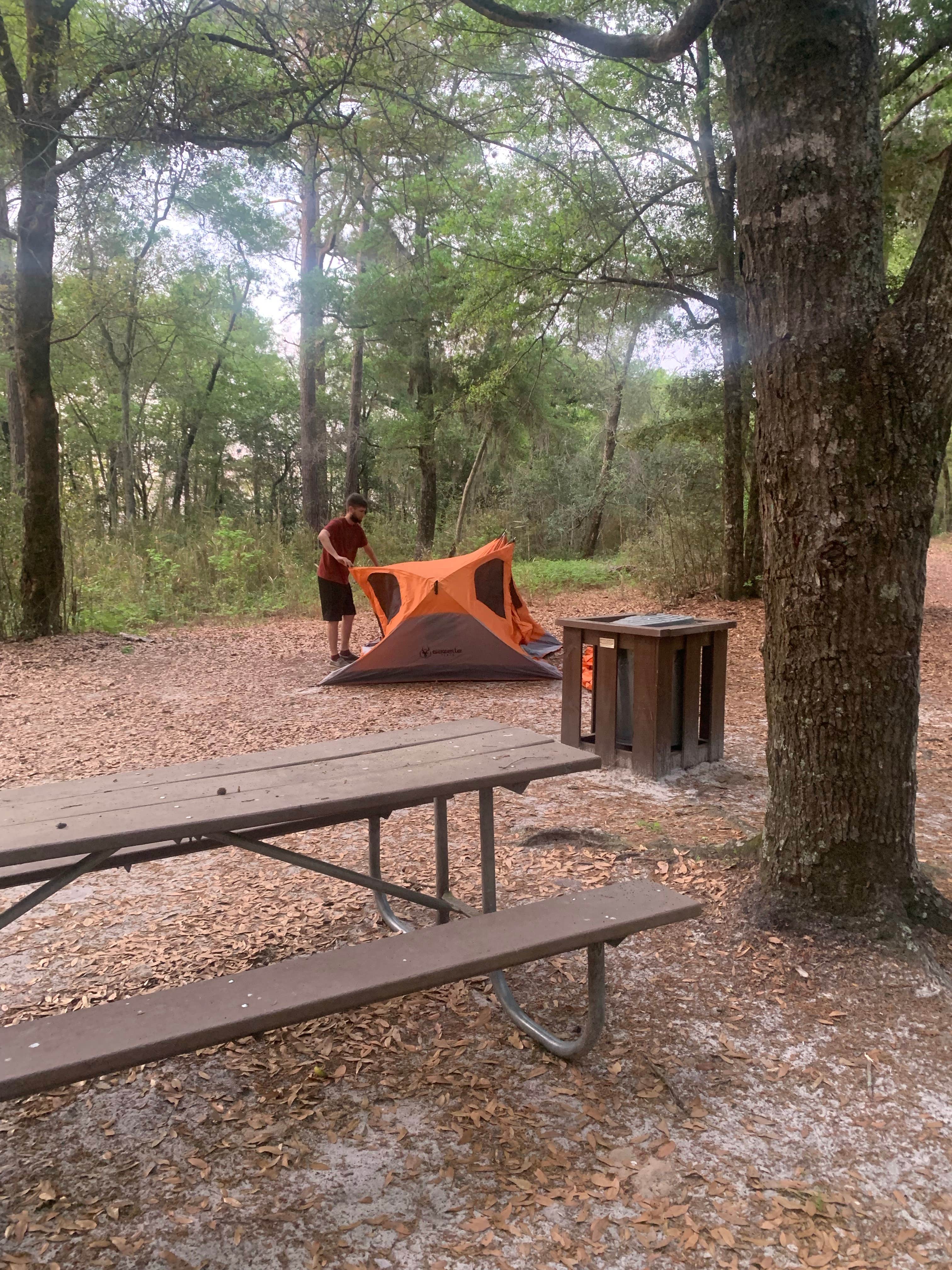 Kristin T.'s photo of tent camping at Lake Waccamaw State Park Campground near Wrightsville Beach, NC