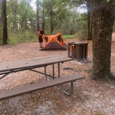 Review photo of Lake Waccamaw State Park Campground by Kristin T., April 15, 2022