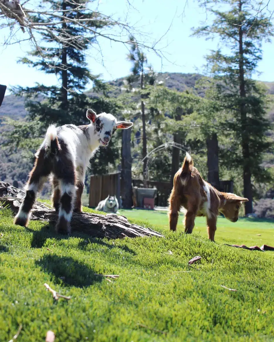 Camper-submitted photo at closed / no longer in operation near Lancaster, CA