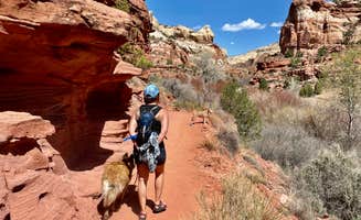 Susan M.'s photo of camping with pets at Calf Creek Campground near Glen Canyon National Recreation Area