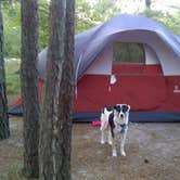 Review photo of Cape Henlopen State Park Campground by Jaclyn B., July 12, 2018