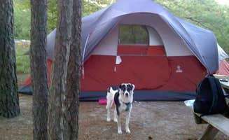 Jaclyn B.'s photo at Cape Henlopen State Park Campground near Wildwood, NJ