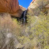 Review photo of Calf Creek Campground by Susan M., April 15, 2022