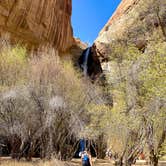 Review photo of Calf Creek Campground by Susan M., April 15, 2022